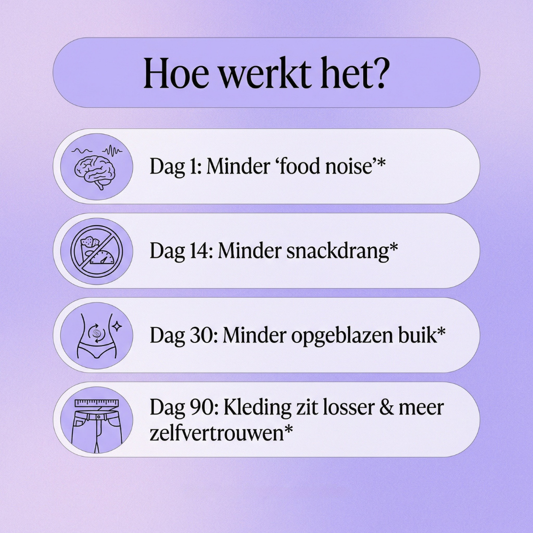 Miss Yerba | Mystic Powder