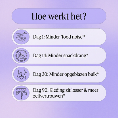 Miss Yerba | Mystic Powder