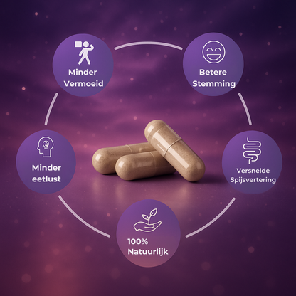 Miss Yerba | Fat Burner Capsules